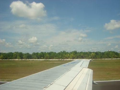 D2 093_resize.jpg